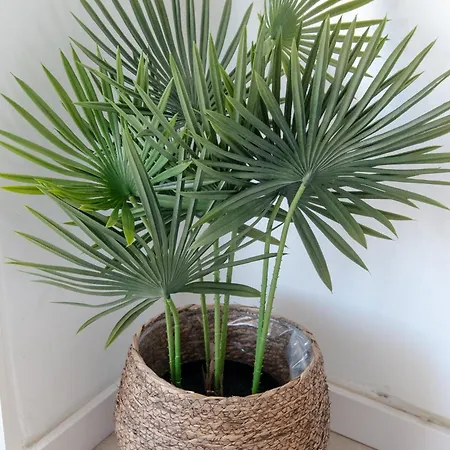 De Diseno Con Piscina Junto Al Mar Gandiazar Iv شقة *